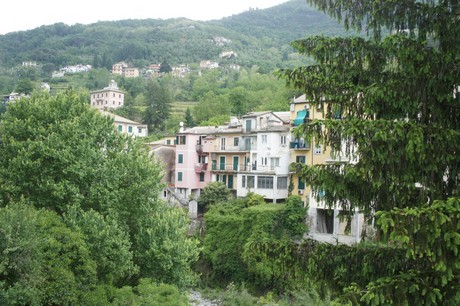 cicagna