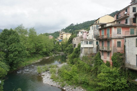 cicagna