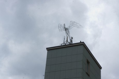 cicagna