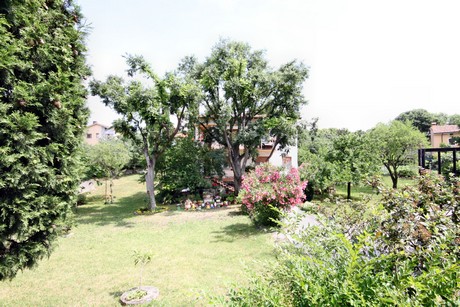 Duino