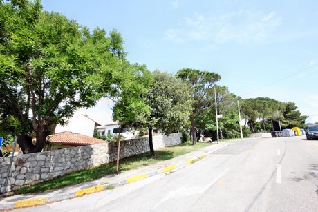 Duino