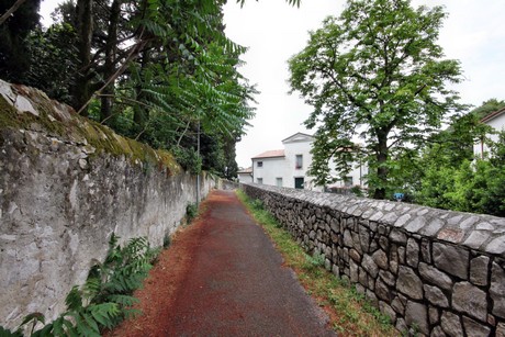 Duino