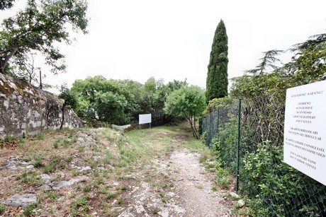 Duino