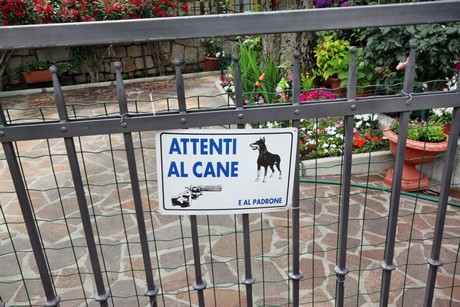 Duino