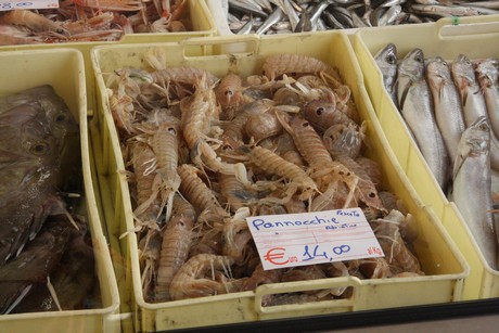 fano-markt