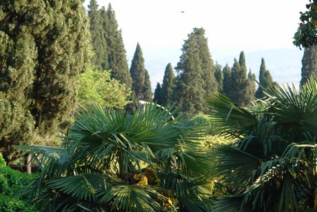 fiesole