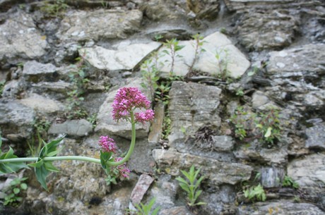 Fosdinovo