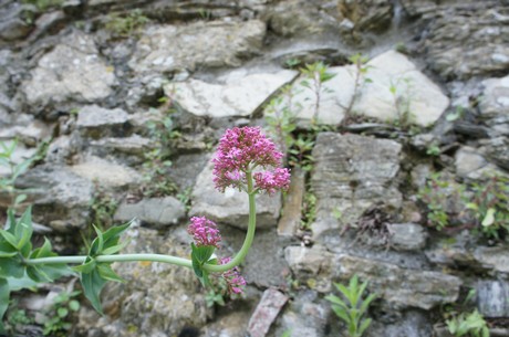 Fosdinovo