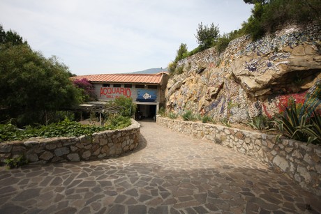 aquarium