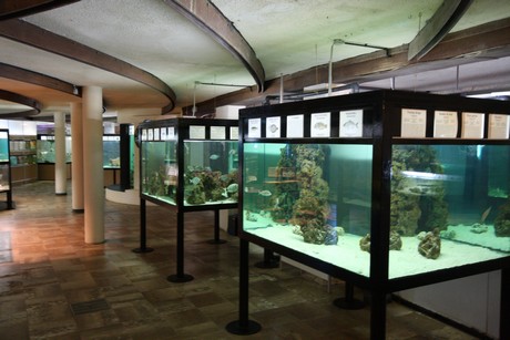 aquarium