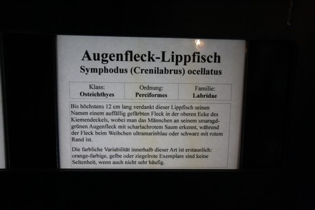 aquarium