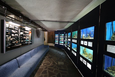 aquarium