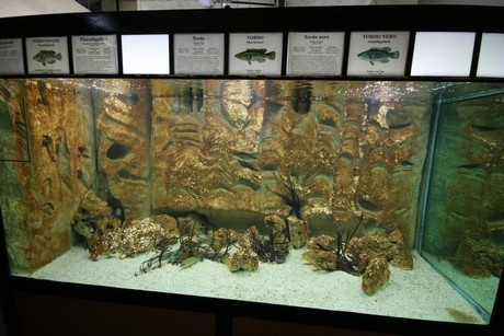 aquarium