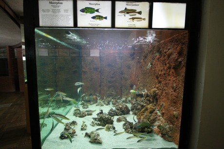 aquarium
