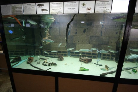 aquarium