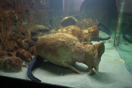 aquarium