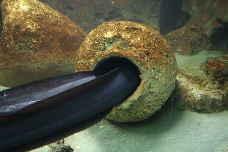 aquarium