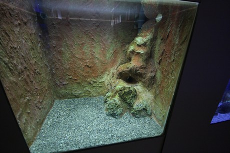 aquarium