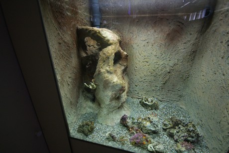 aquarium