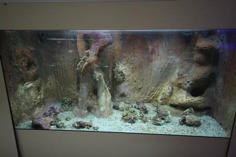 aquarium