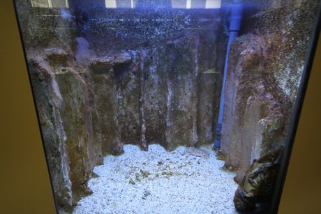 aquarium