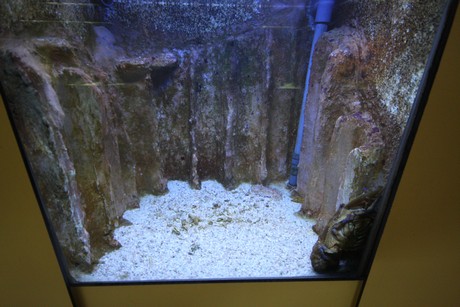 aquarium