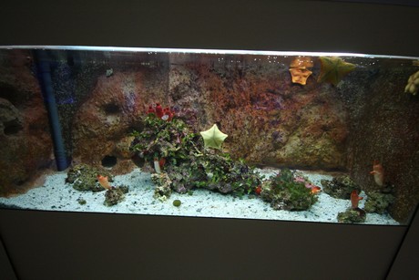 aquarium