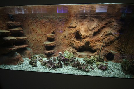 aquarium