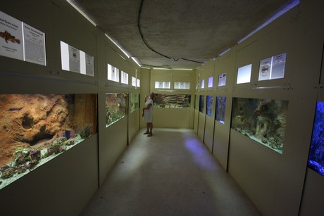 aquarium