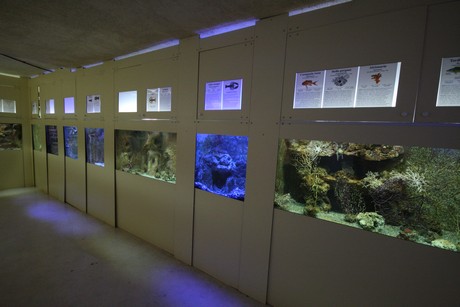 aquarium