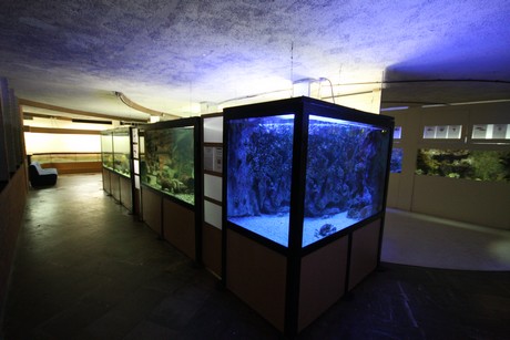 aquarium