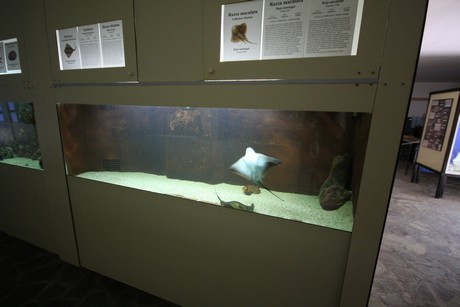 aquarium