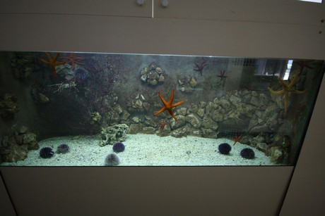 aquarium