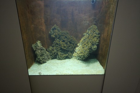 aquarium