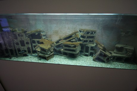 aquarium