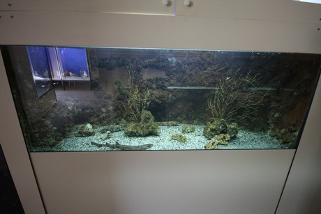 aquarium