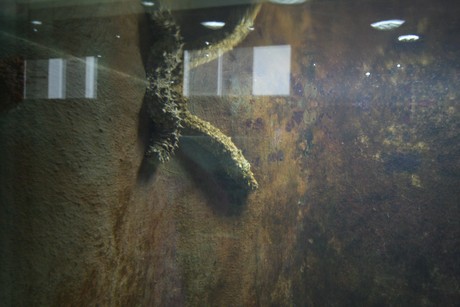 aquarium