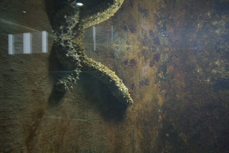 aquarium