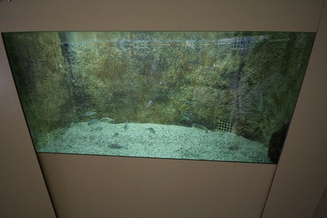 aquarium