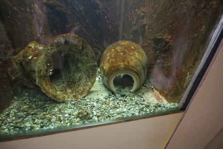 aquarium