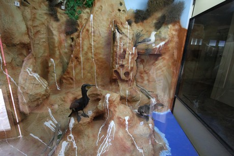 aquarium