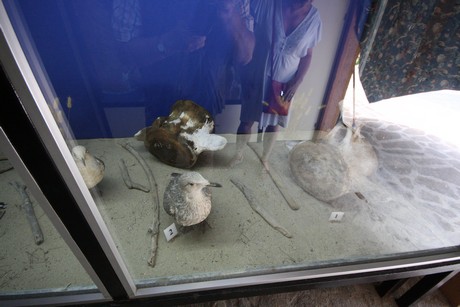 aquarium