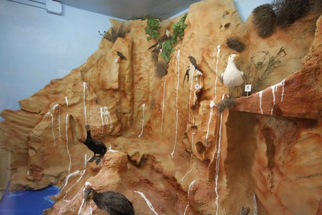 aquarium