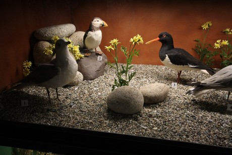 aquarium