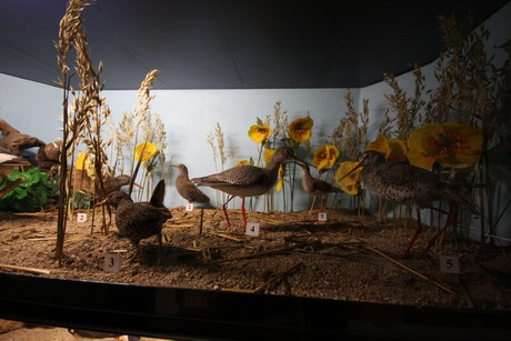 aquarium