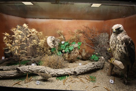 aquarium