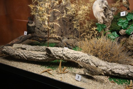 aquarium