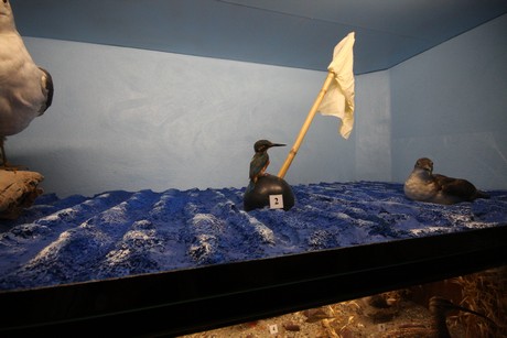 aquarium