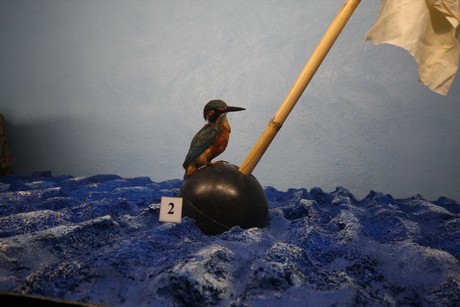 aquarium
