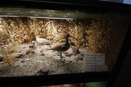 aquarium